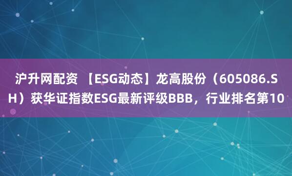 沪升网配资 【ESG动态】龙高股份（605086.SH）获华证指数ESG最新评级BBB，行业排名第10