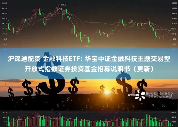 沪深通配资 金融科技ETF: 华宝中证金融科技主题交易型开放式指数证券投资基金招募说明书（更新）