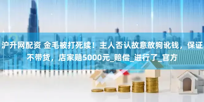 沪升网配资 金毛被打死续！主人否认故意放狗讹钱，保证不带货，店家赔5000元_赔偿_进行了_官方