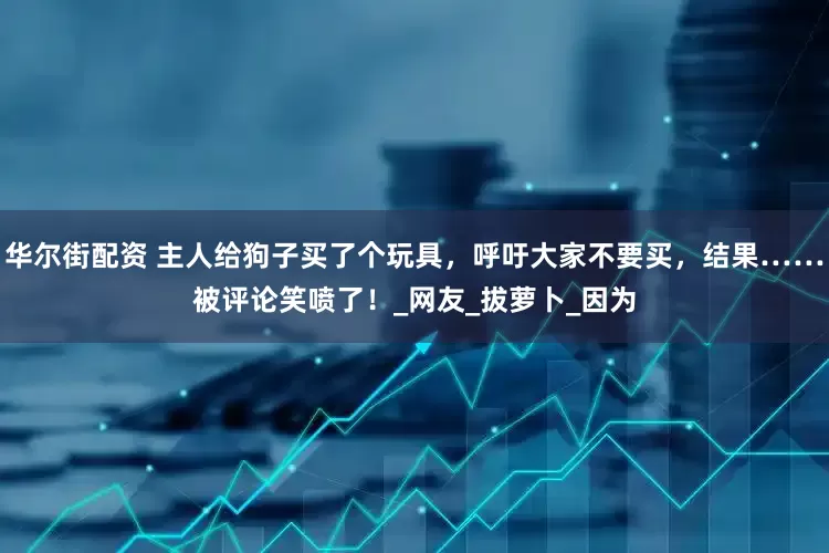 华尔街配资 主人给狗子买了个玩具，呼吁大家不要买，结果……被评论笑喷了！_网友_拔萝卜_因为
